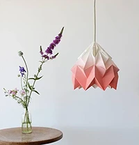 Moth lamp